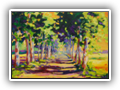 A Country Road, Langudoc, France,12x16 Oil