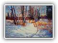 Late Winter Sun  16x20 Oil



