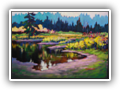 Woodland Pond