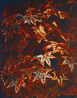 Marjorie Turnbull