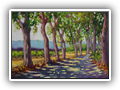 Country Road, Nimes   8x12
