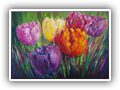 * Tulips 24x30